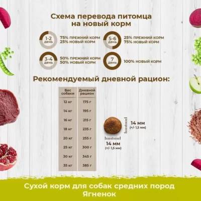 Vivere Adult Medium Lamb сухой низкозерновой ГИПОАЛЛЕРГЕННЫЙ корм для собак Средних пород (Ягненок)